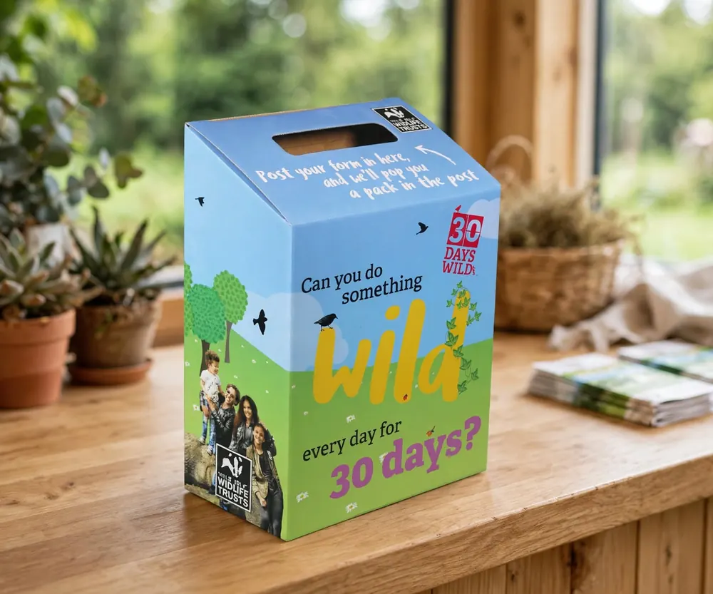 Custom Ballot Boxes