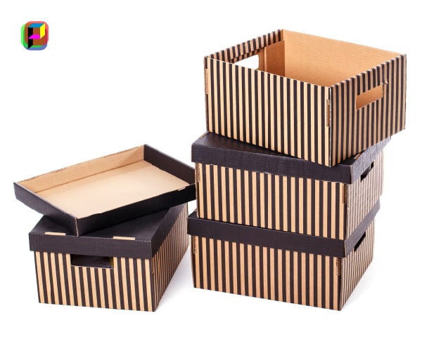 Archive Box 5